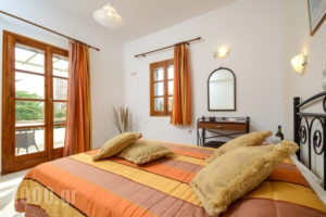 Mare Monte Studios_best deals_Apartment_Cyclades Islands_Naxos_Naxos Chora