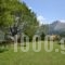 Aloni_best deals_Room_Epirus_Arta_Theodoriana