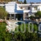 Dimitra Sun_best deals_Hotel_Dodekanessos Islands_Rhodes_Archagelos