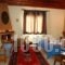 Villa Anthemia_holidays_in_Villa_Macedonia_Imathia_Naousa