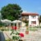 Villa Anthemia_best prices_in_Villa_Macedonia_Imathia_Naousa