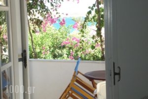 Kelly'S_best deals_Hotel_Cyclades Islands_Antiparos_Antiparos Chora