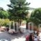 Topakas House_holidays_in_Hotel_Aegean Islands_Chios_Chios Chora