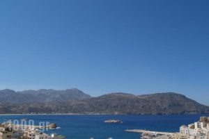 Roses Studios_best prices_in_Hotel_Dodekanessos Islands_Karpathos_Karpathos Chora