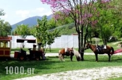 Ninemia Bungalows Hotel in Karpenisi, Evritania, Central Greece