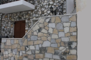 Studios Pasas_best prices_in_Room_Cyclades Islands_Naxos_Naxos Chora