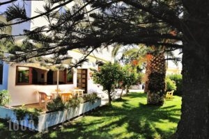 Mastorakis Hotel and Studios_holidays_in_Hotel_Crete_Heraklion_Chersonisos