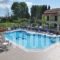 Makis Studios & Apartments_holidays_in_Apartment_Ionian Islands_Corfu_Corfu Chora