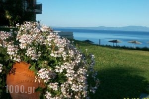 Aegean Blue Studios_best deals_Hotel_Macedonia_Halkidiki_Kassandreia