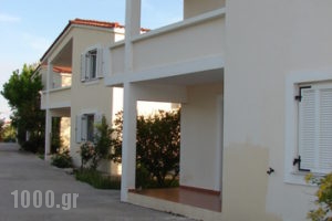 Rosmarinus studios_holidays_in_Room_Aegean Islands_Samos_Potokaki