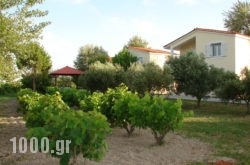 Rosmarinus studios in Matala, Heraklion, Crete