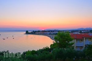 Villa Kalliopi_holidays_in_Villa_Macedonia_Halkidiki_Poligyros