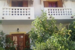 Sissy Hotel_lowest prices_in_Hotel_Piraeus islands - Trizonia_Aigina_Aigina Rest Areas