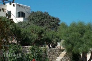 Kedros Villas_holidays_in_Villa_Cyclades Islands_Naxos_Naxos chora