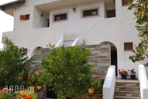 Villa Angela_accommodation_in_Villa_Macedonia_Halkidiki_Chalkidiki Area