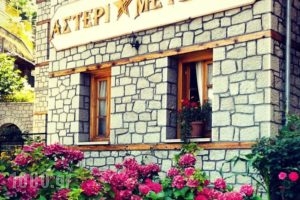Asterimetsovou_accommodation_in_Hotel_Epirus_Ioannina_Metsovo