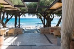 Elvita beach hotel in Antiparos Chora, Antiparos, Cyclades Islands
