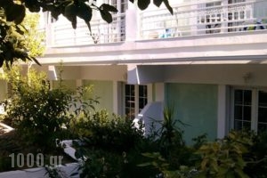Evelin hotel_best prices_in_Hotel_Aegean Islands_Samos_Pythagorio