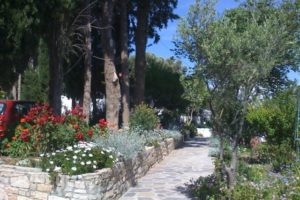 Elena Bungalows_best deals_Hotel_Aegean Islands_Samos_Pythagorio