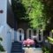 Koralli Studios_best deals_Hotel_Cyclades Islands_Kea_Korisia