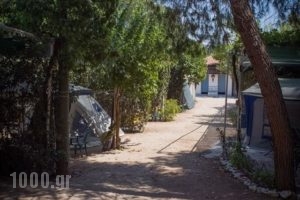 Xeni Camp & Bungalows_holidays_in_Room_Peloponesse_Argolida_Nafplio