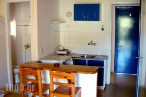 Zacharogianni Studios_best deals_Hotel_Ionian Islands_Lefkada_Vasiliki