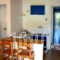 Zacharogianni Studios_best deals_Hotel_Ionian Islands_Lefkada_Vasiliki