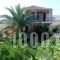 Zacharogianni Studios_accommodation_in_Hotel_Ionian Islands_Lefkada_Vasiliki