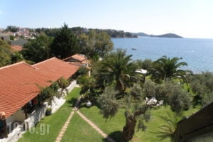 Angeliki Beach_best prices_in_Hotel_Sporades Islands_Skiathos_Skiathos Chora