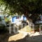 Junior_holidays_in_Apartment_Sporades Islands_Skyros_Skyros Rest Areas