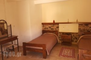 Agroktima_holidays_in_Hotel_Aegean Islands_Chios_Chios Rest Areas