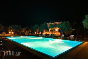 Hotel Nefeli_best deals_Hotel_Aegean Islands_Thasos_Thasos Chora