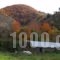 Agios Germanos Traditional Hotel_best deals_Hotel_Macedonia_Florina_Agios Germanos