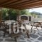 Malamas Apartments_best deals_Apartment_Cyclades Islands_Paros_Paros Chora