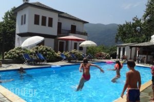 Hotel Vrionis_holidays_in_Hotel_Thessaly_Magnesia_Mouresi