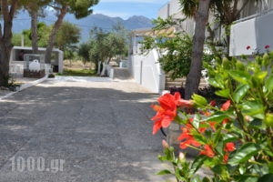 Blue Nest_best prices_in_Hotel_Dodekanessos Islands_Kos_Kos Rest Areas