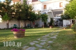Kleopatra in Corfu Rest Areas, Corfu, Ionian Islands