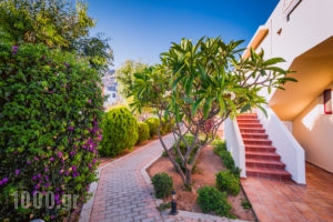 Angela Studios_lowest prices_in_Room_Dodekanessos Islands_Rhodes_Pefki