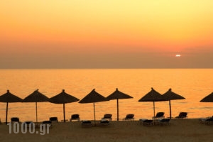 Hotel Kamari Beach_best deals_Hotel_Aegean Islands_Thasos_Thasos Chora