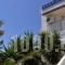 Hotel Vicky_lowest prices_in_Hotel_Cyclades Islands_Paros_Piso Livadi