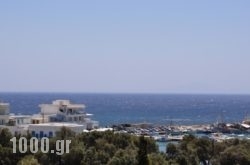 Hotel Vicky in Piso Livadi, Paros, Cyclades Islands
