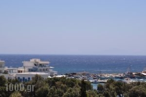 Hotel Vicky_accommodation_in_Hotel_Cyclades Islands_Paros_Piso Livadi