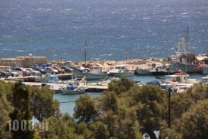 Hotel Vicky_travel_packages_in_Cyclades Islands_Paros_Piso Livadi