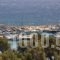 Hotel Vicky_travel_packages_in_Cyclades Islands_Paros_Piso Livadi