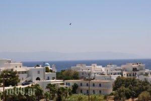 Hotel Vicky_holidays_in_Hotel_Cyclades Islands_Paros_Piso Livadi