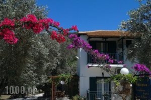 Katerina Pension_travel_packages_in_Sporades Islands_Skopelos_Panormos