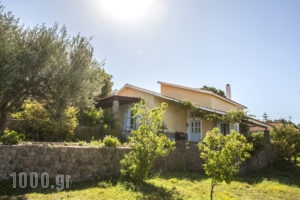 Aelia Villa_best deals_Villa_Piraeus Islands - Trizonia_Aigina_Aigina Chora