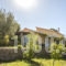 Aelia Villa_best deals_Villa_Piraeus Islands - Trizonia_Aigina_Aigina Chora