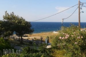 Panorama_best deals_Hotel___