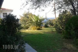 Panorama_holidays_in_Hotel___